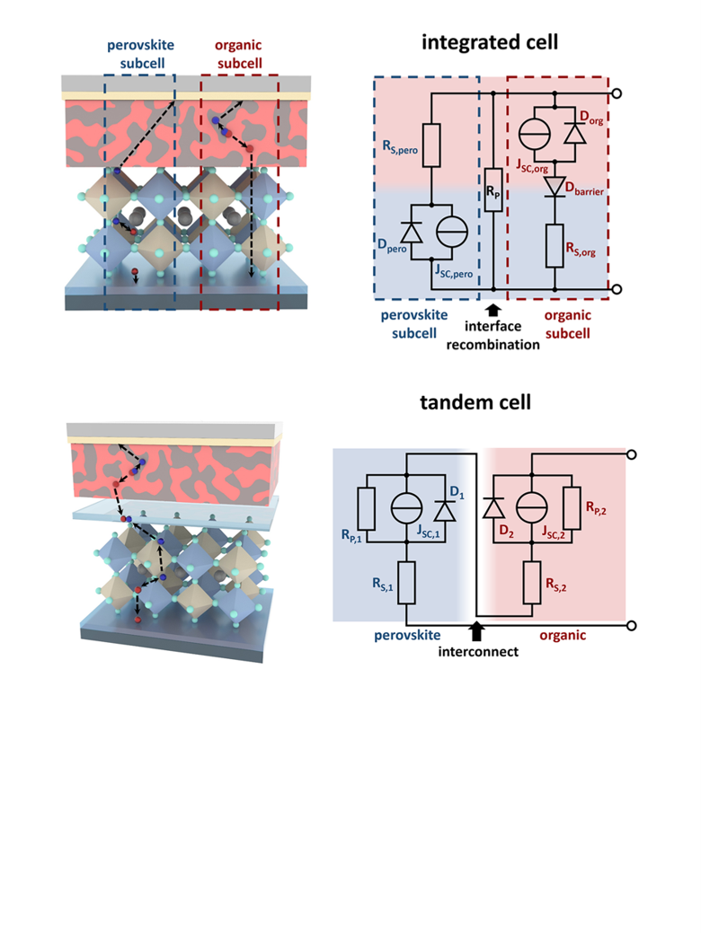 Graphical abstract for Working Principle of Integrated Perovskite-Organic Solar Cells